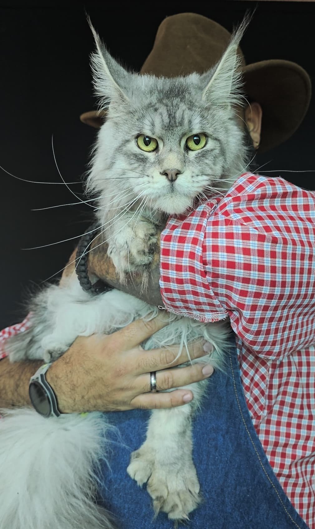 Imagen de diseño creativo 1